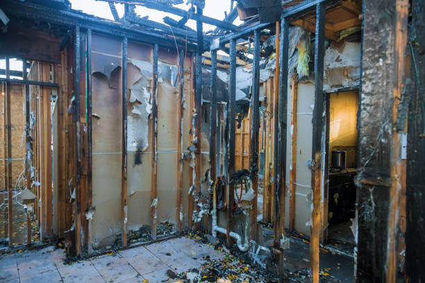 Professional Fire Damage Removal technician working in Maiden Rock, WI